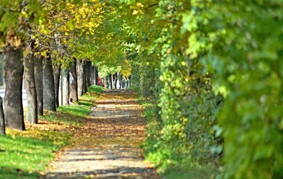 Бутиков Хотел History Haskovo Bagian luar foto